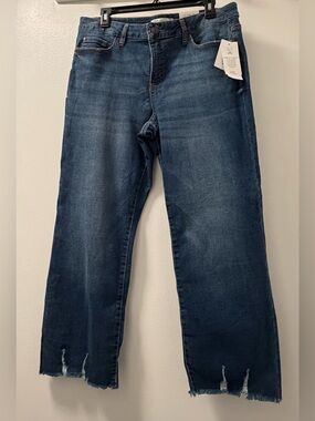 NWT Cleo Petite Straight Crop Distressed Jeans 12P